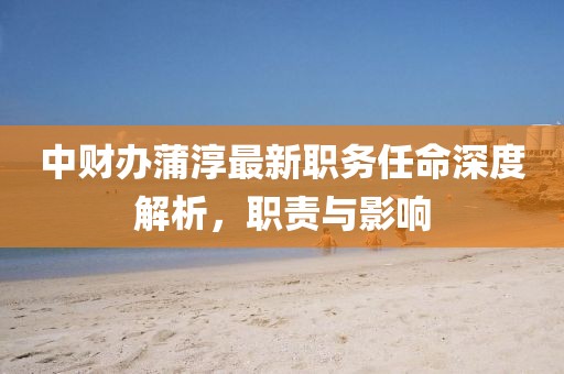 中財(cái)辦蒲淳最新職務(wù)任命深度解析，職責(zé)與影響