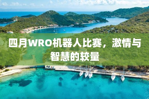四月WRO機器人比賽，激情與智慧的較量