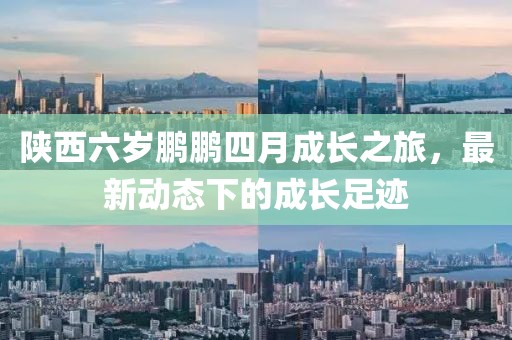 陜西六歲鵬鵬四月成長之旅，最新動(dòng)態(tài)下的成長足跡