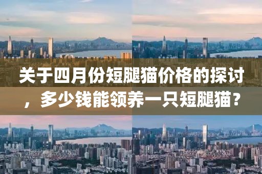 關(guān)于四月份短腿貓價(jià)格的探討，多少錢能領(lǐng)養(yǎng)一只短腿貓？