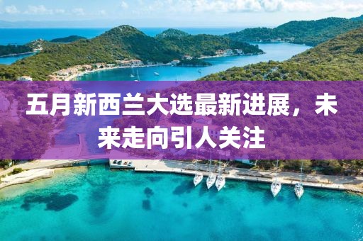 五月新西蘭大選最新進展，未來走向引人關(guān)注