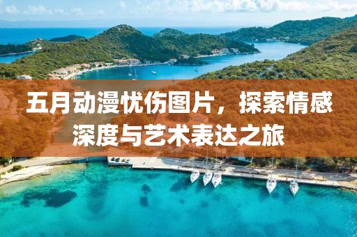 五月動(dòng)漫憂傷圖片，探索情感深度與藝術(shù)表達(dá)之旅