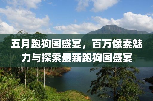 五月跑狗圖盛宴，百萬像素魅力與探索最新跑狗圖盛宴