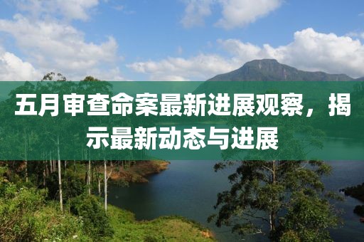 五月審查命案最新進(jìn)展觀察，揭示最新動(dòng)態(tài)與進(jìn)展