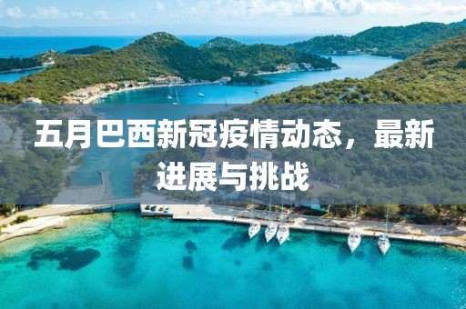 五月巴西新冠疫情動態(tài)，最新進展與挑戰(zhàn)