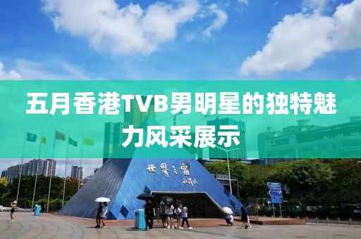 五月香港TVB男明星的獨(dú)特魅力風(fēng)采展示
