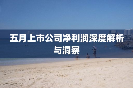 五月上市公司凈利潤(rùn)深度解析與洞察