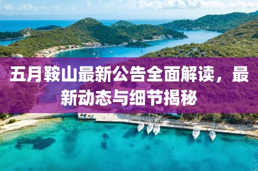 五月鞍山最新公告全面解讀，最新動態(tài)與細(xì)節(jié)揭秘