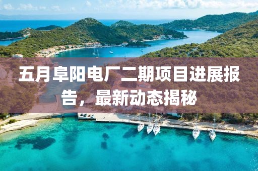 五月阜陽電廠二期項目進(jìn)展報告，最新動態(tài)揭秘