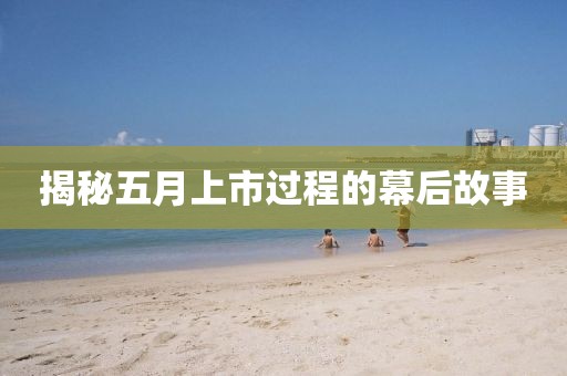 揭秘五月上市過(guò)程的幕后故事