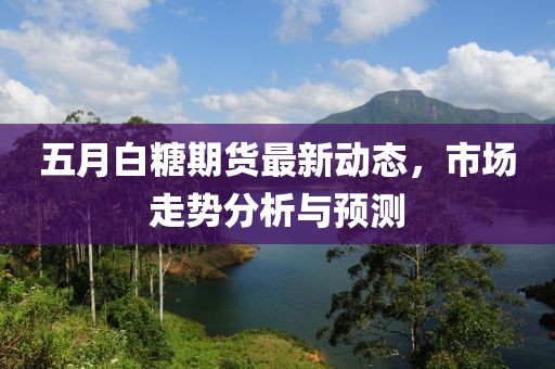 五月白糖期貨最新動態(tài)，市場走勢分析與預(yù)測