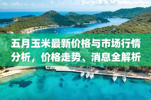 五月玉米最新價格與市場行情分析，價格走勢、消息全解析