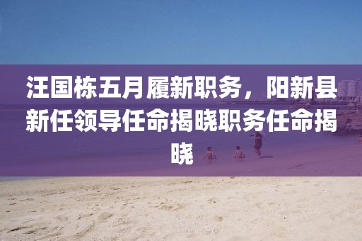 汪國(guó)棟五月履新職務(wù)，陽(yáng)新縣新任領(lǐng)導(dǎo)任命揭曉職務(wù)任命揭曉