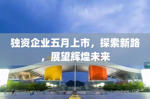 獨資企業(yè)五月上市，探索新路，展望輝煌未來