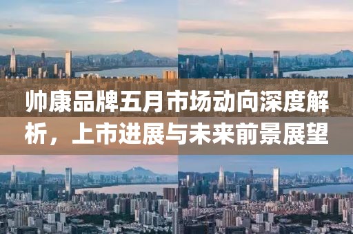 帥康品牌五月市場動向深度解析，上市進(jìn)展與未來前景展望