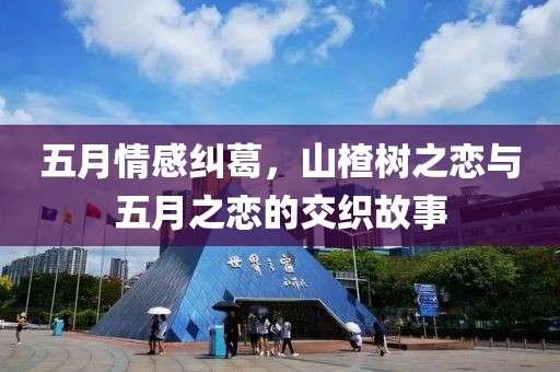五月情感糾葛，山楂樹之戀與五月之戀的交織故事