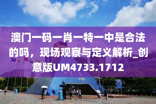 澳門(mén)一碼一肖一特一中是合法的嗎，現(xiàn)場(chǎng)觀察與定義解析_創(chuàng)意版UM4733.1712