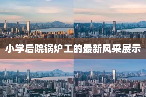 小學(xué)后院鍋爐工的最新風(fēng)采展示