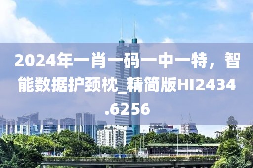 2024年一肖一碼一中一特，智能數(shù)據(jù)護(hù)頸枕_精簡版HI2434.6256