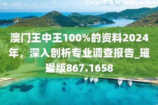 澳門王中王100%的資料2024年，深入剖析專業(yè)調(diào)查報(bào)告_璀璨版867.1658