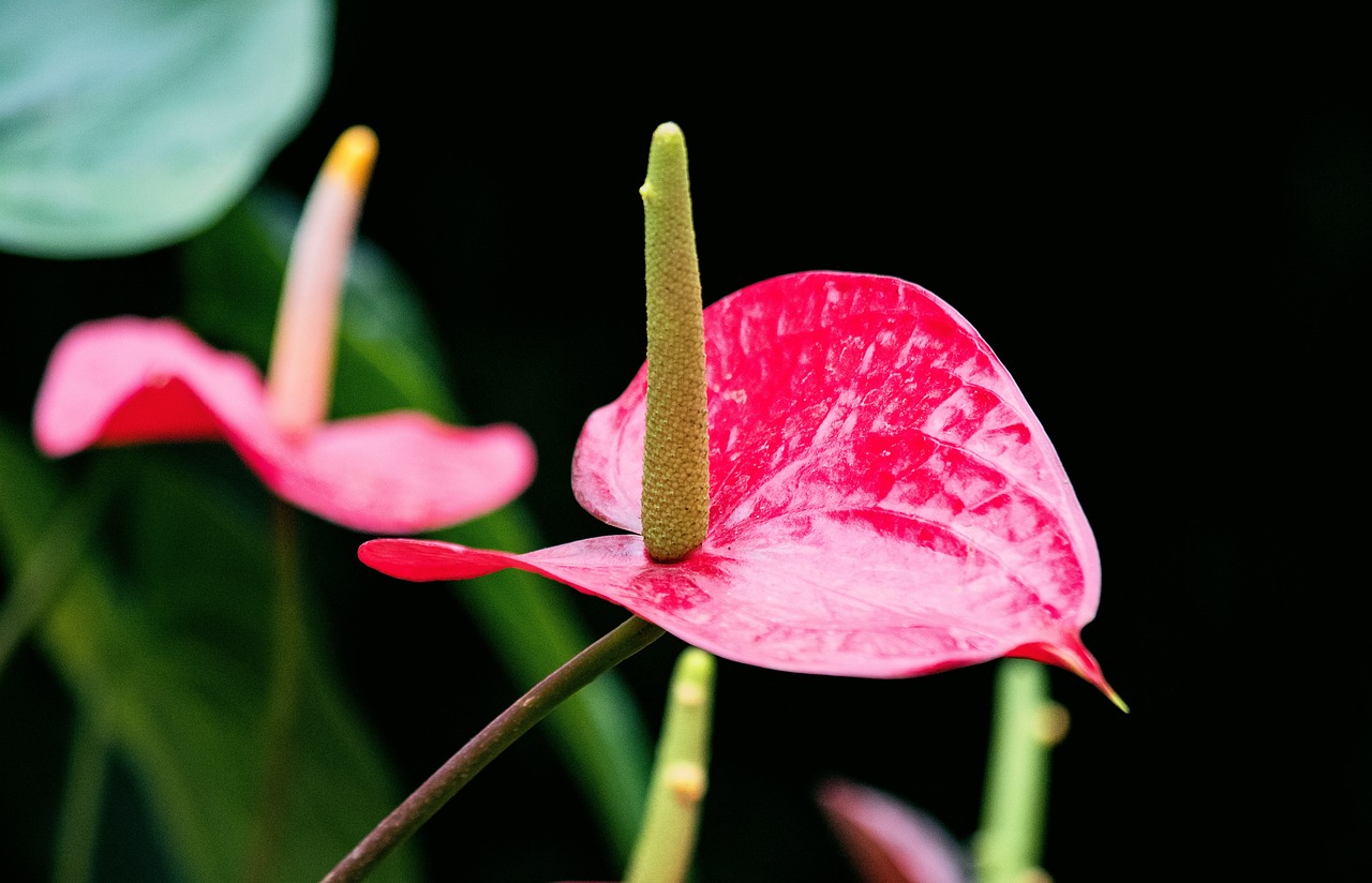 申通最新新聞引領(lǐng)物流行業(yè)新動(dòng)態(tài)