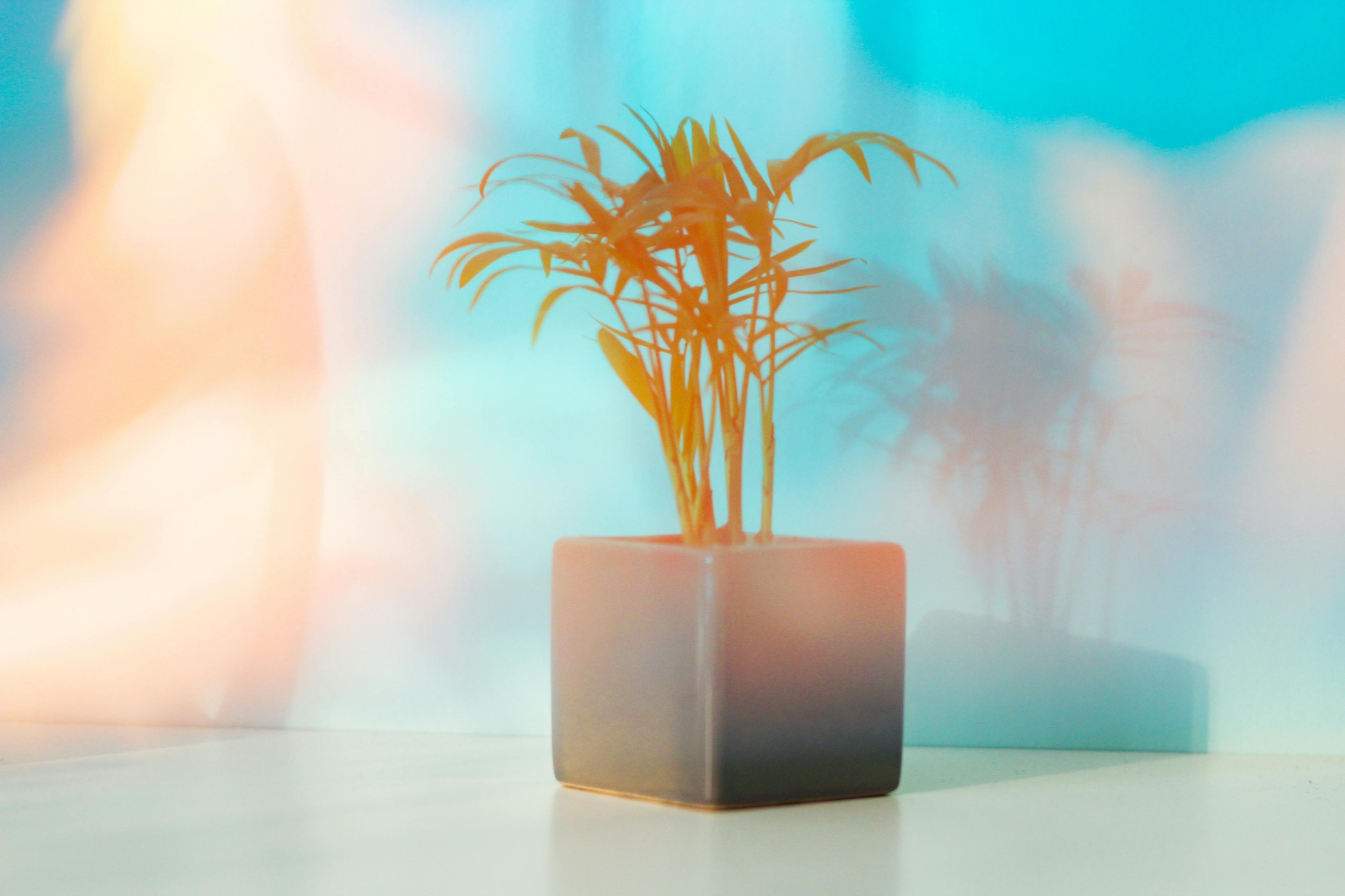 追求卓越，創(chuàng)造無(wú)限可能，2017狠狠干最新版展望