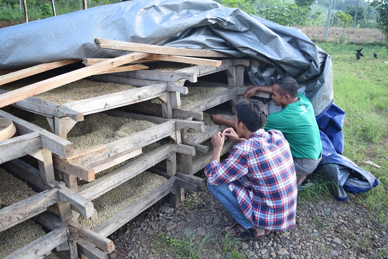 黑龍江農(nóng)墾最新動態(tài)全面解讀