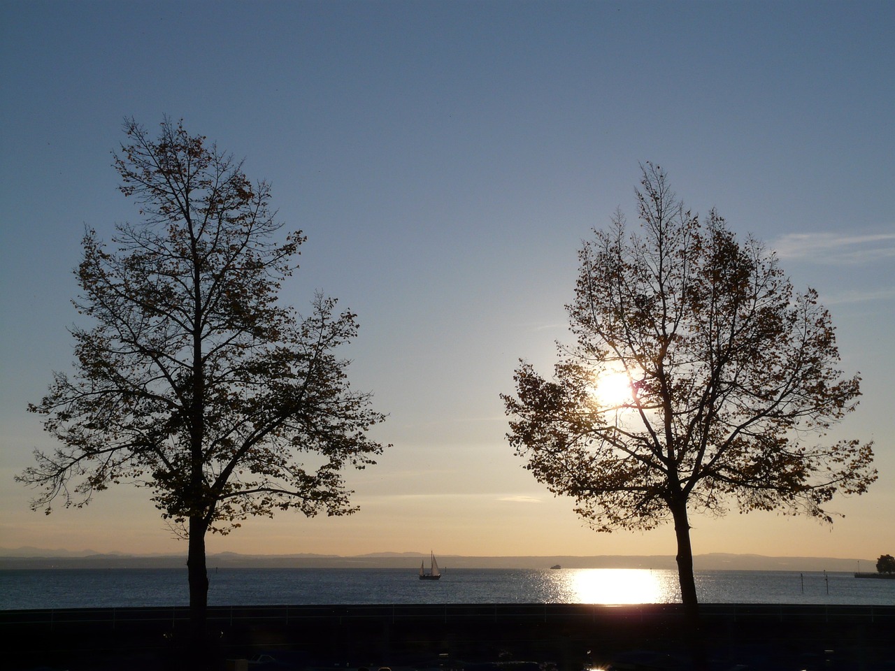 楊穎最新新聞動態(tài)，娛樂圈中的璀璨之星閃耀亮相