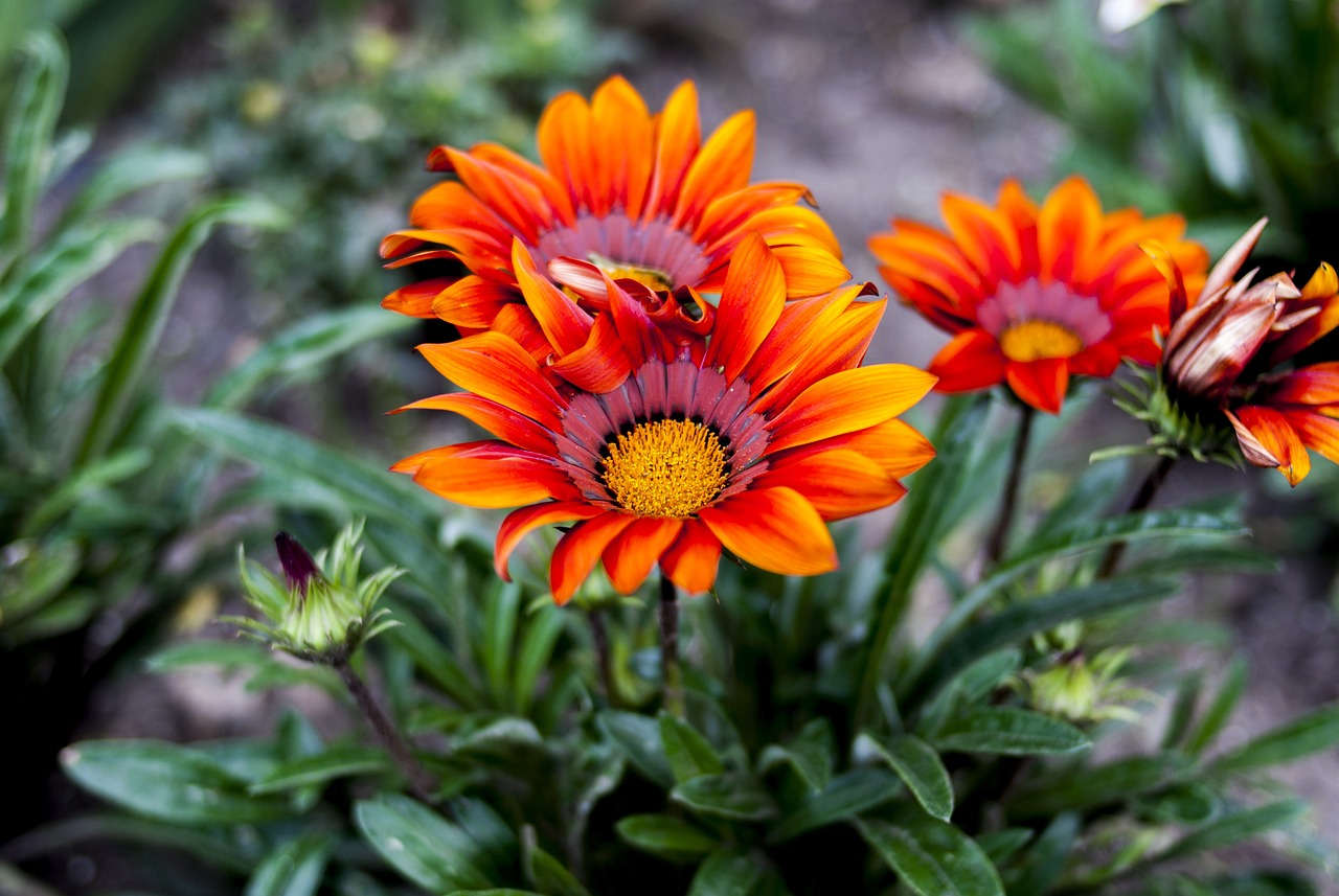 關(guān)于600240的最新消息全面解析與更新動(dòng)態(tài)