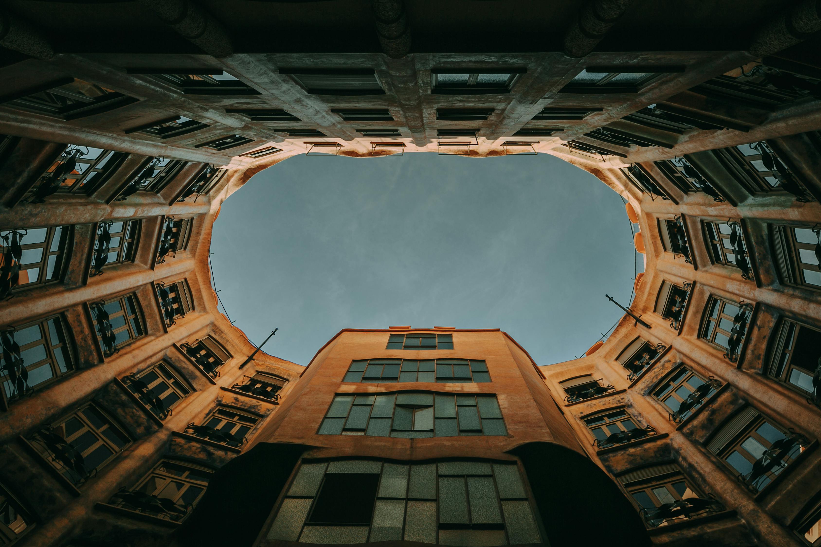 花開無言 第36頁