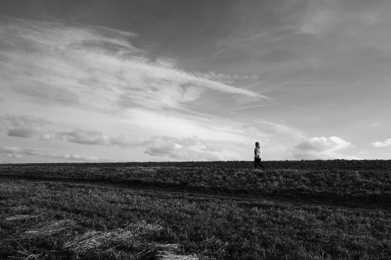 鄒平最新招聘動態(tài)發(fā)布，共創(chuàng)未來機遇時刻