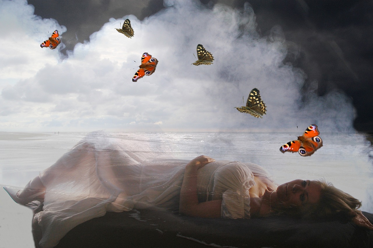 難深擁 第36頁(yè)