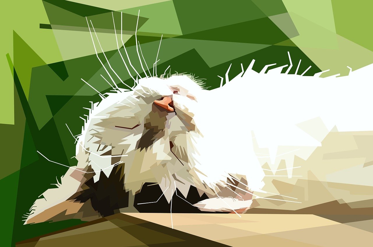 美邦引領(lǐng)時(shí)尚潮流新動(dòng)態(tài)，最新消息速遞