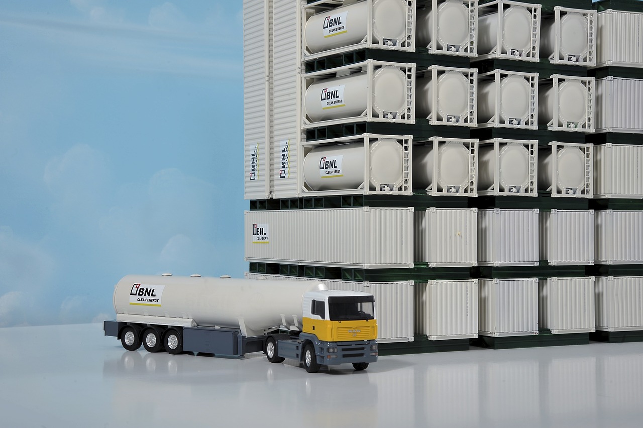 白洋淀搬遷最新規(guī)劃，重塑生態(tài)與發(fā)展共融的未來藍(lán)圖展望