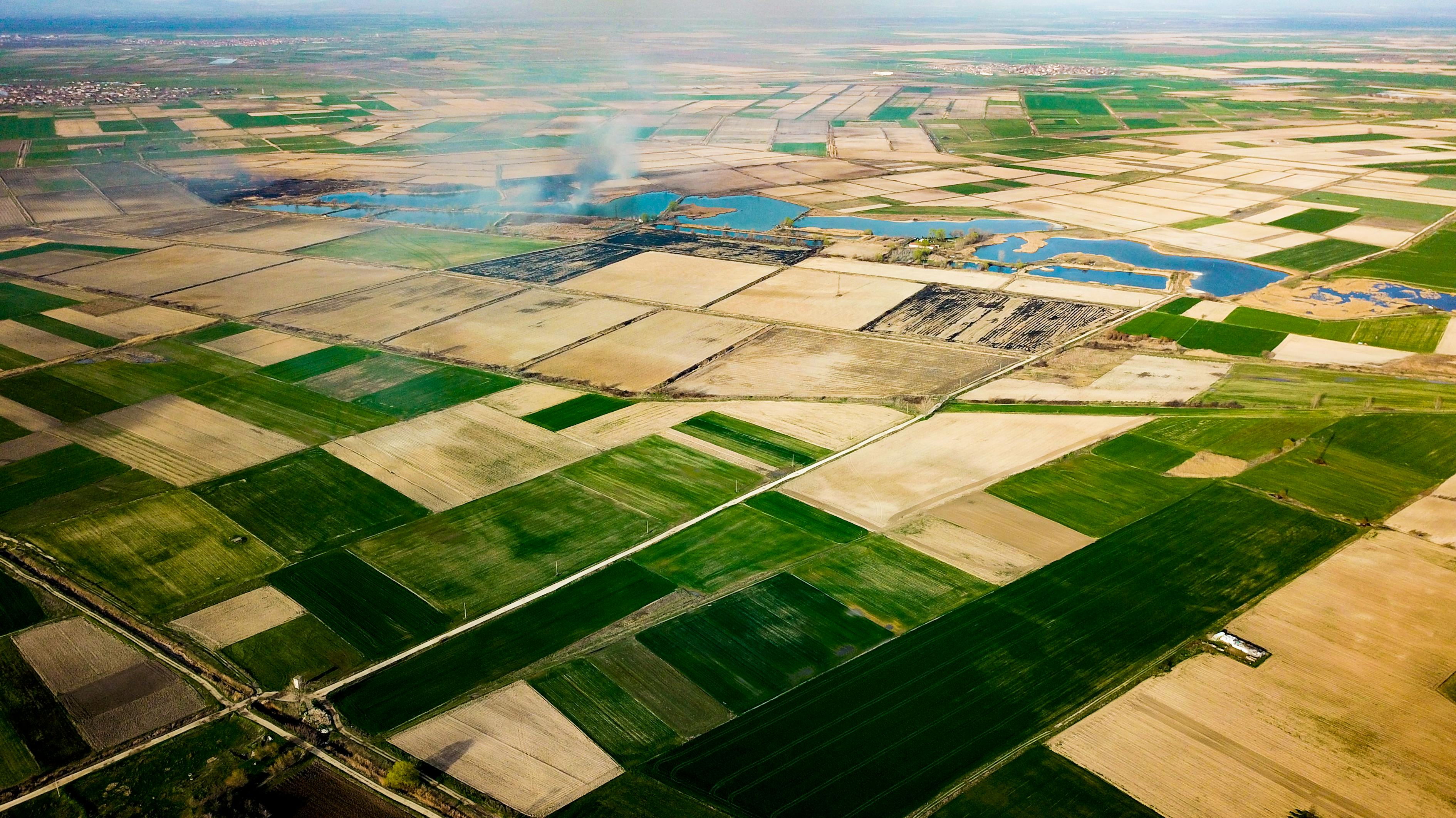 二四六天天彩資料大全網(wǎng)最新2024，深入解析全面信息概念_生活美學(xué)集92.09.2