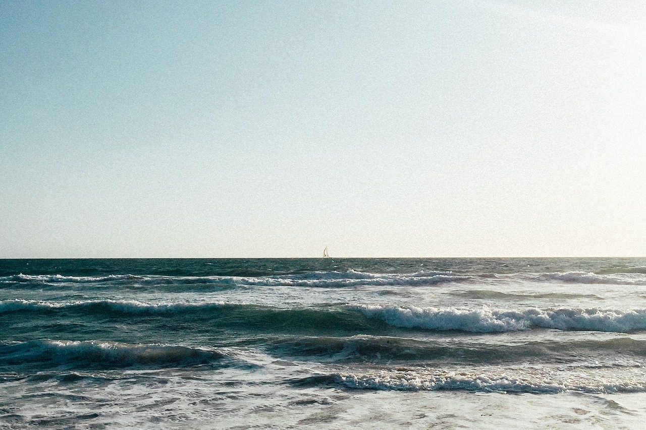 魯豫持續(xù)展現(xiàn)明星風(fēng)采與媒體影響力新動態(tài)