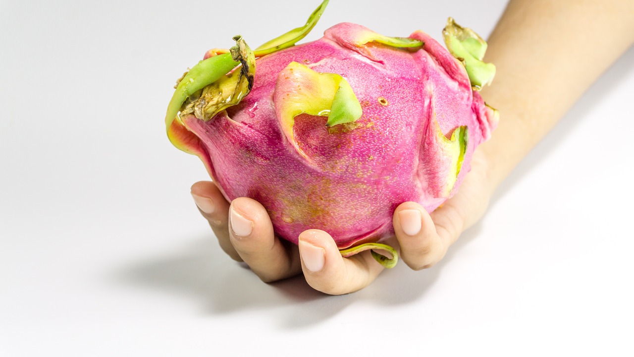 剛泰控股最新消息全面解析與動(dòng)態(tài)更新