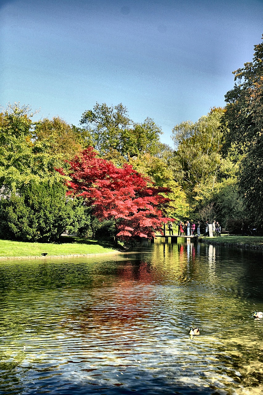 湖南城管最新動(dòng)態(tài)，創(chuàng)新實(shí)踐推動(dòng)城市管理前行