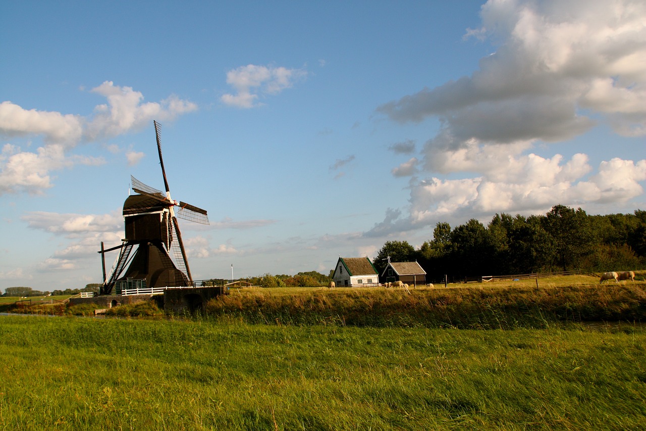 武昌古城改造最新動態(tài)，重塑歷史風貌，煥發(fā)新城活力