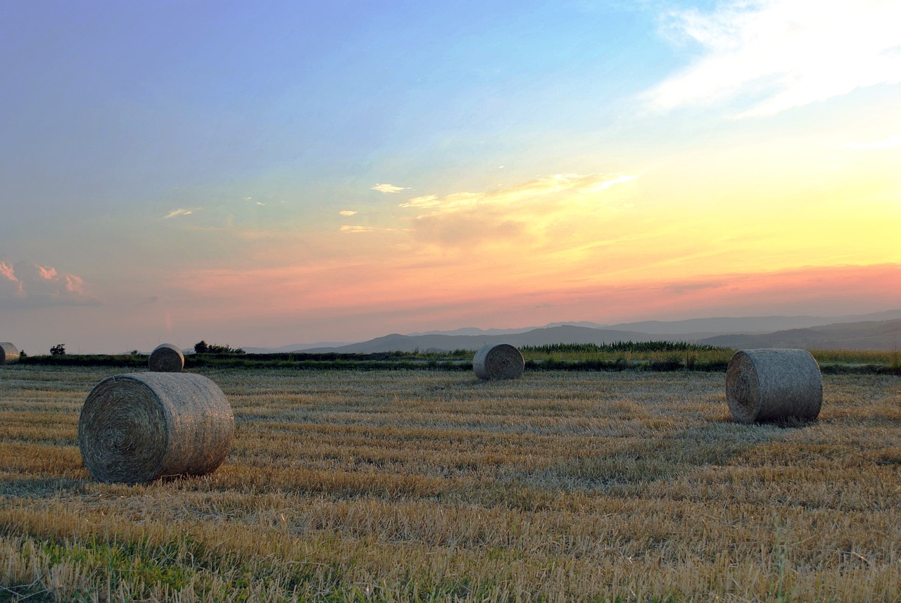 固金所最新動態(tài)解讀，發(fā)展進展、行業(yè)展望與全面消息速遞