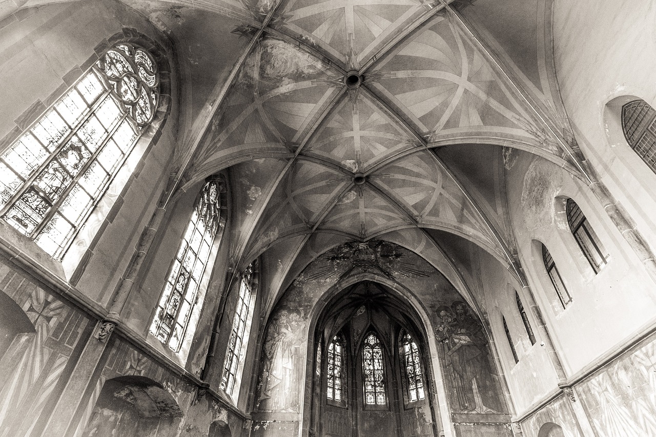 老虎直播二維碼最新動態(tài)，用戶體驗探討與最新進(jìn)展