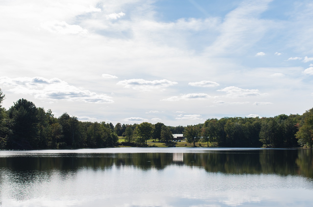 水西莊公園全新面貌揭秘，城市綠肺的最新消息