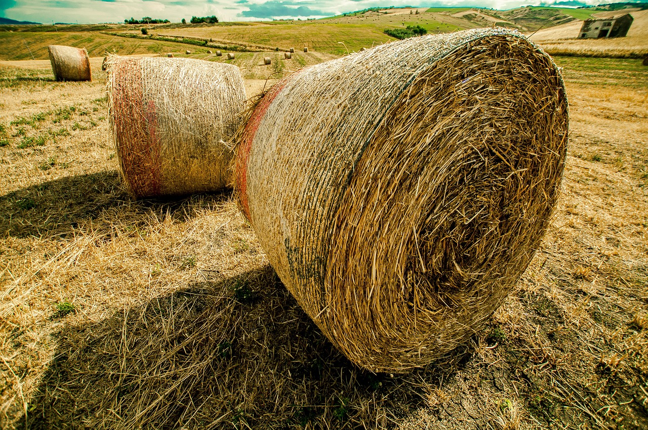 WRV最新動(dòng)態(tài)，引領(lǐng)未來(lái)變革與突破