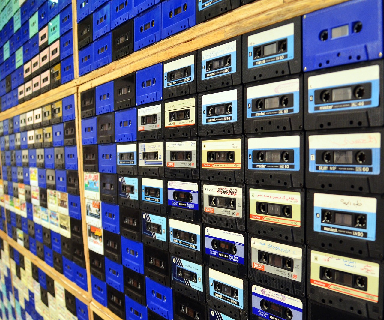 一網(wǎng)打盡熱門GIF，最新動態(tài)圖來源與走勢大揭秘