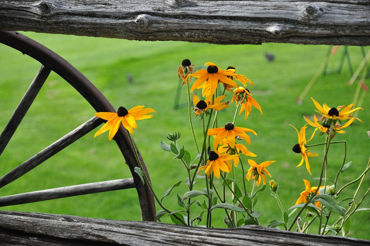 北五村改造最新動態(tài)，重塑社區(qū)，打造宜居環(huán)境