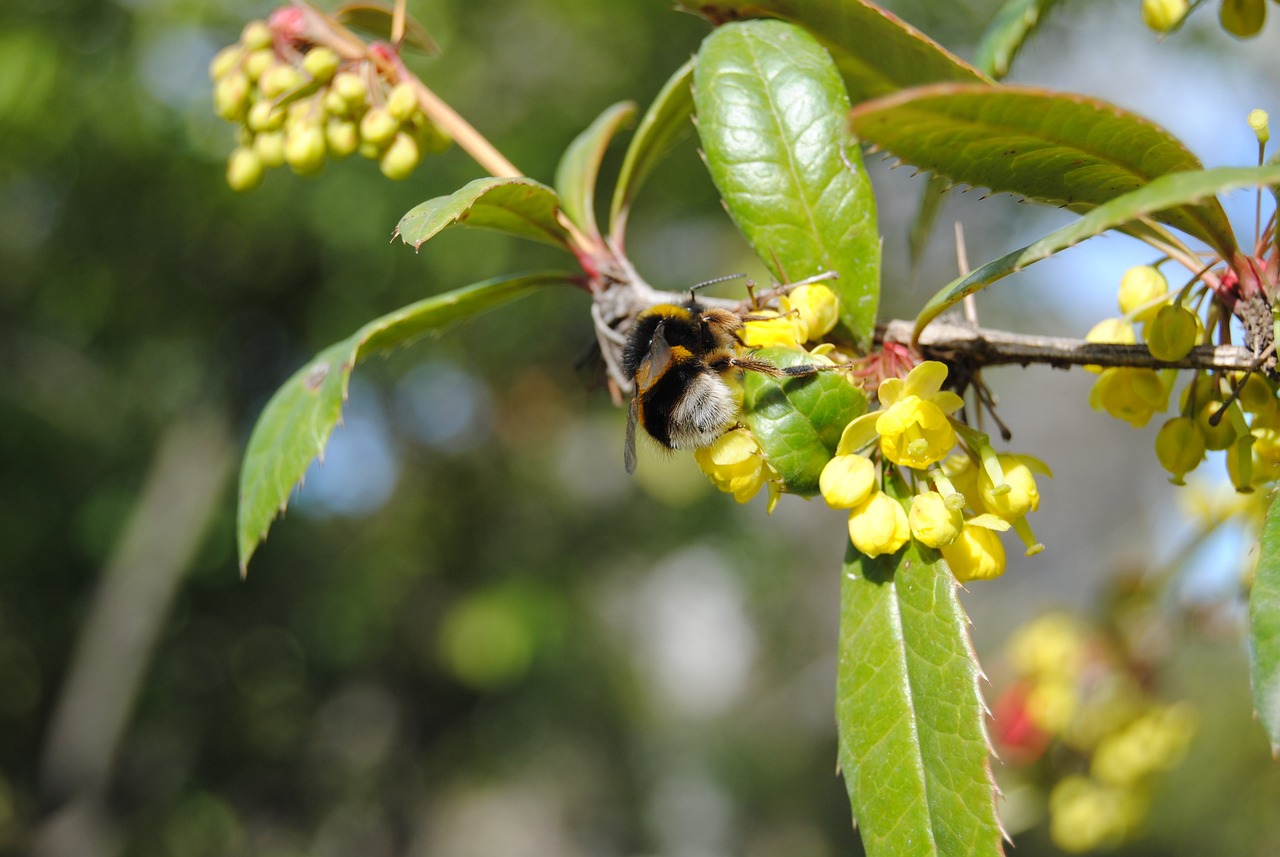溧陽二十八所最新招聘動(dòng)態(tài)及影響分析