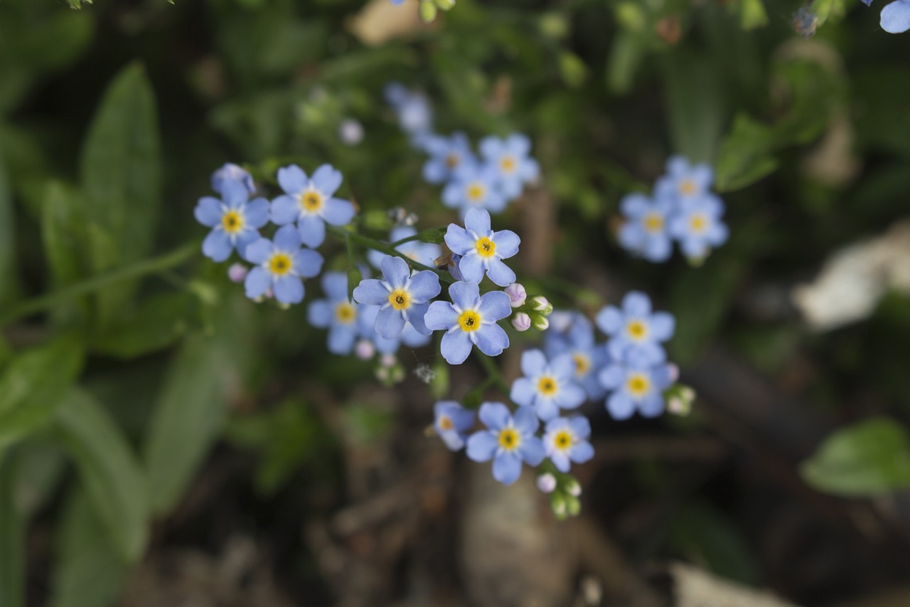 專利官費最新動態(tài)，影響及最新發(fā)展概述