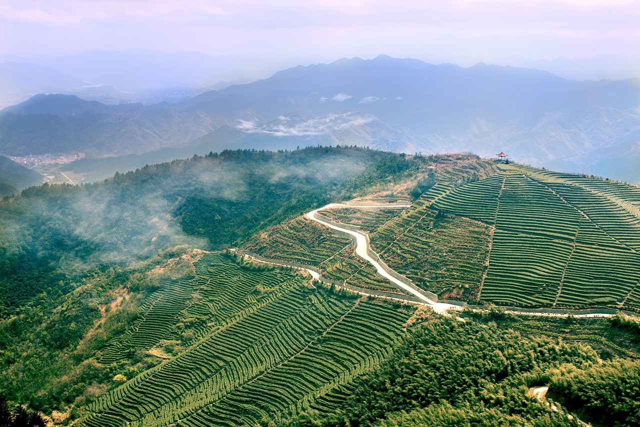新時(shí)代警界楷模，熊警官的最新動(dòng)態(tài)