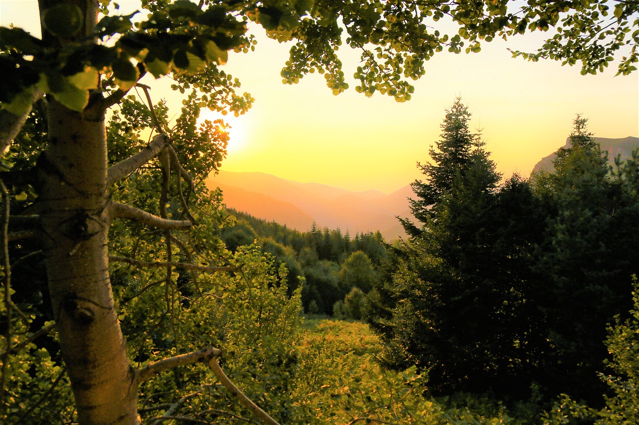 陳思成最新動(dòng)態(tài)，多元領(lǐng)域的才華橫溢之旅探索