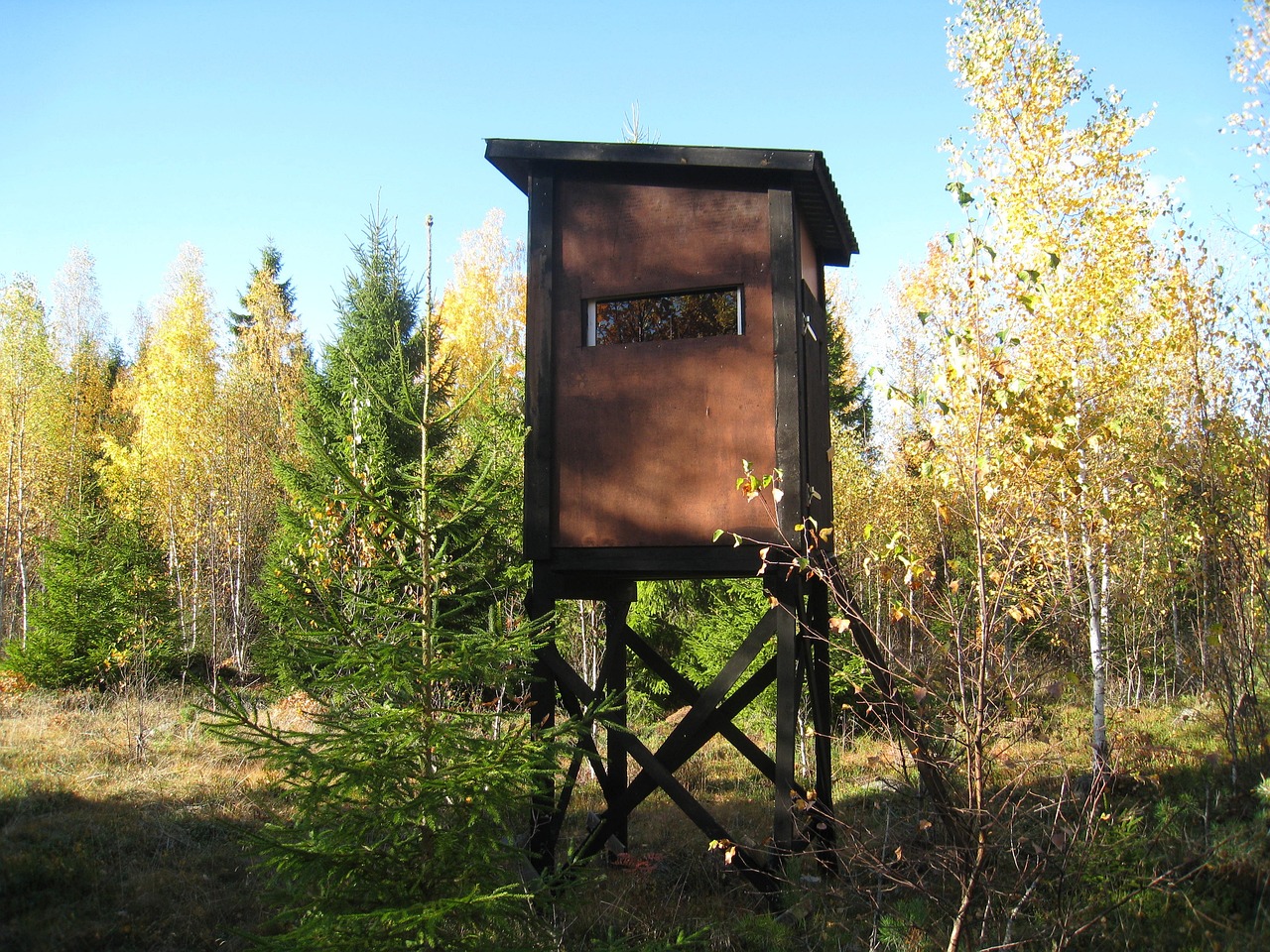 漢巫最新動(dòng)態(tài)，探索與突破的成果展示